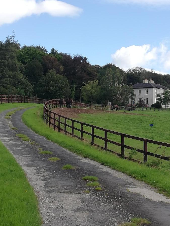 Next Door At Broomfield House Midleton Exterior photo